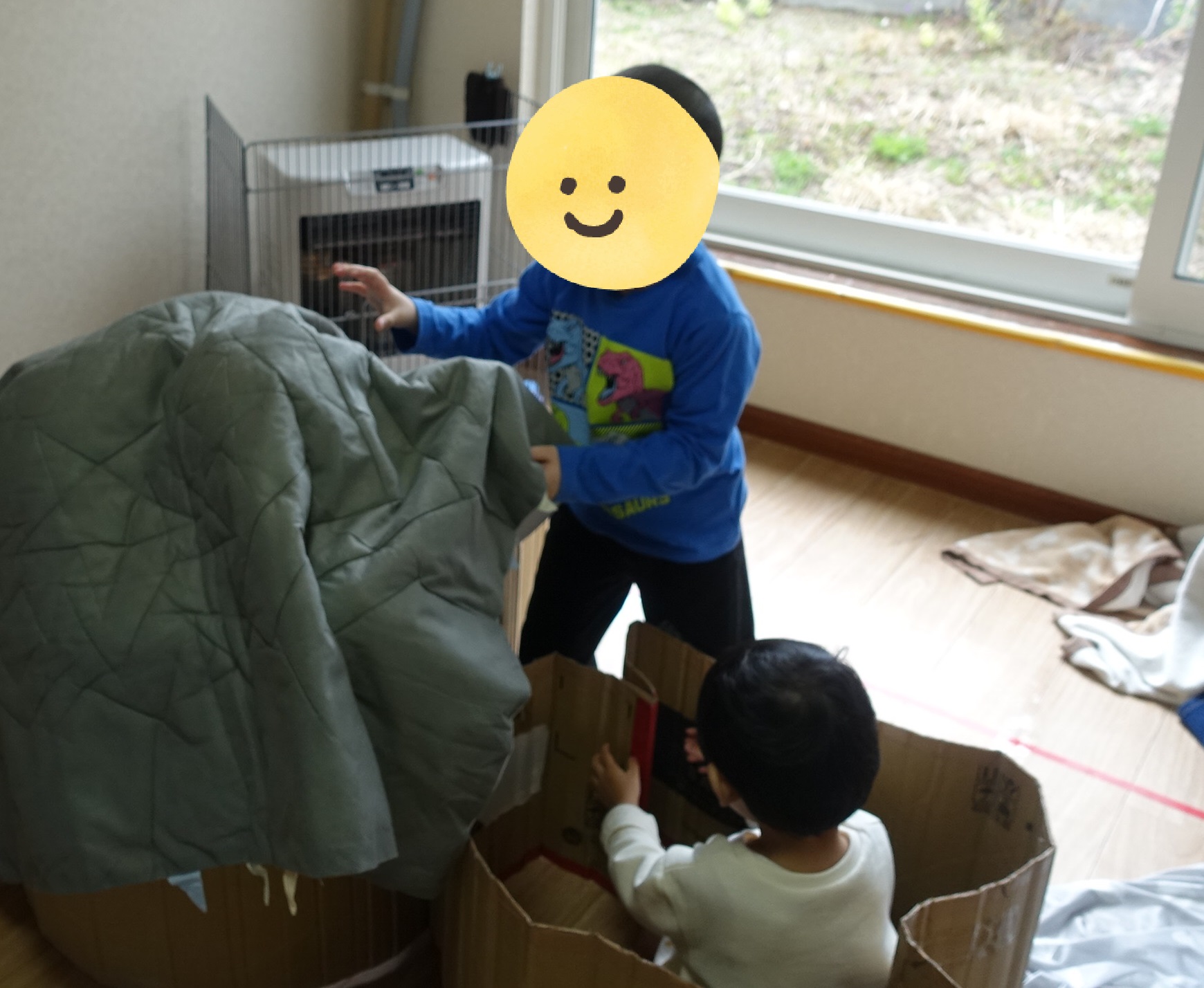 ぺんぎんくらす🐧「かくれんぼ」