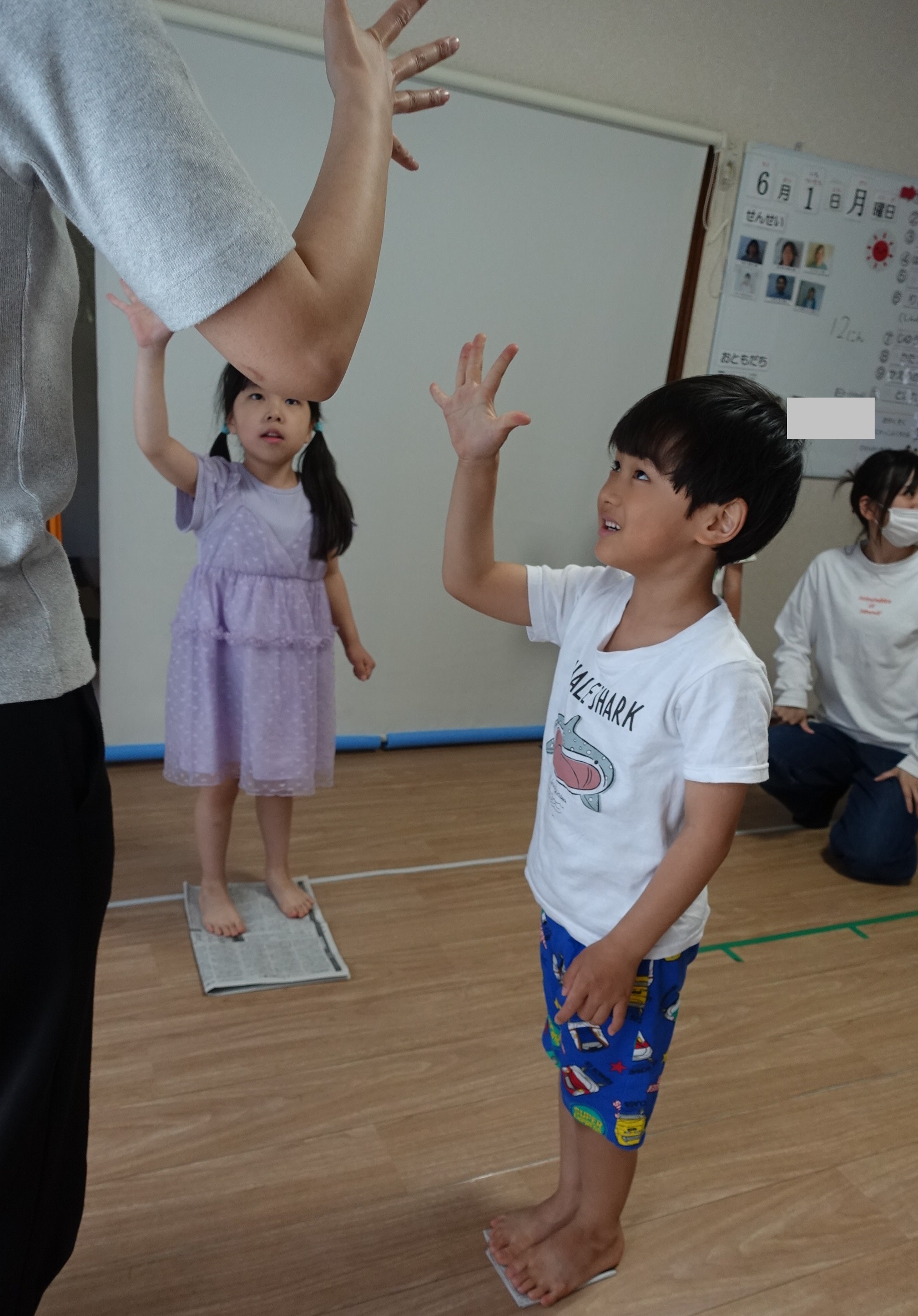 らいおんくらす🦁「新聞紙じゃんけん📰」