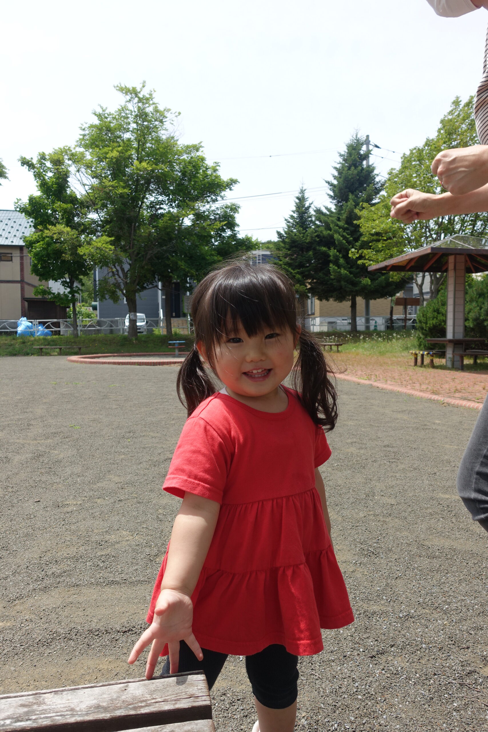 ぺんぎんくらす🐧「公園」